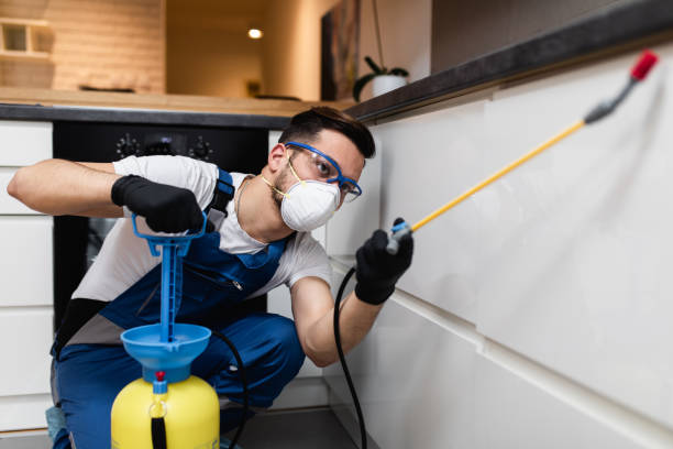 Best Pest Prevention Services  in Oak Park, CA