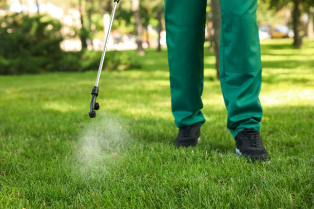 Insect Control in Oak Park, CA