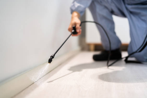 Best Commercial Pest Control Services  in Oak Park, CA