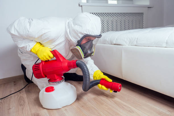 Best Termite Control Services  in Oak Park, CA