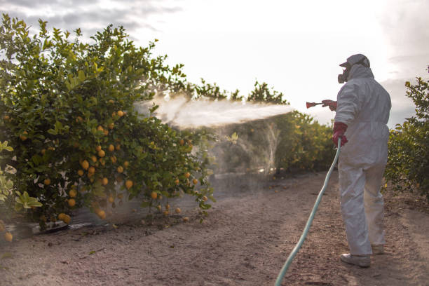 Best Affordable Pest Control Services  in Oak Park, CA