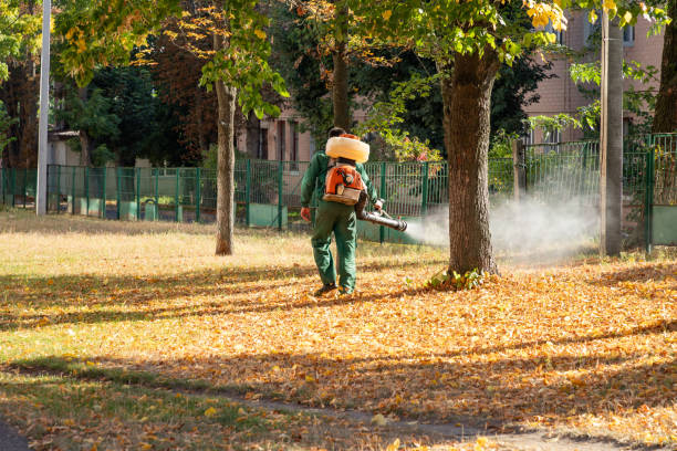 Best Affordable Pest Control Services  in Oak Park, CA