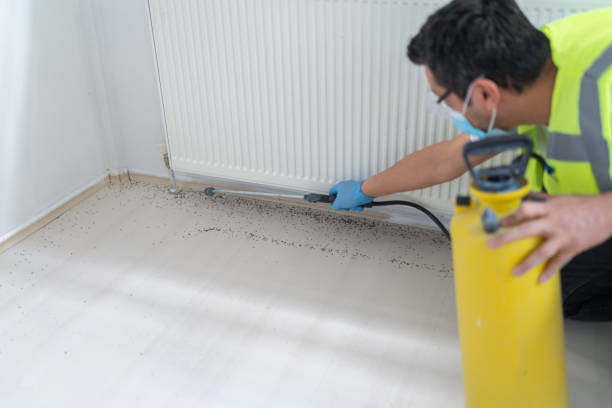 Best Mosquito Control Services  in Oak Park, CA