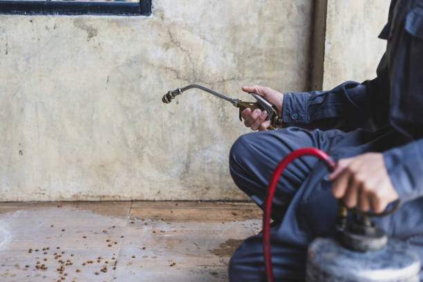 Best Affordable Pest Control Services  in Oak Park, CA
